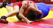 Брянские борцы поучаствовали в одном турнире с олимпийским чемпионом