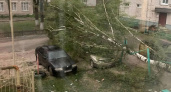 Упавшие деревья, поврежденные машины, оборванные провода: брянские жители делятся в сети первыми последствиями урагана