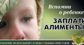 С начала года брянские отцы-алиментщики вернули своим детям почти 170 млн. рублей