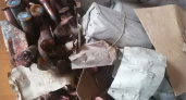 Житель Новозыбкова добровольно сдал найденную в лесу тысячу патронов