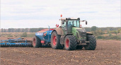 Брянские аграрии дополнили традиционный сев озимых новой культурой