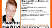 В Брянске ищут 16-летнего подростка с гитарой