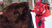 Преданный болельщик подарил Александру Большунову шкуру медведя и пригласил на охоту
