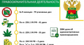 Тополь, мазут и говядина: Брянская таможня возбудила 79 уголовных дел о контрабанде