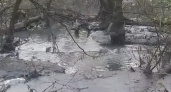 Коммунальная авария в городском лесу Брянска: прорвало канализационную трубу недалеко от центрального пляжа