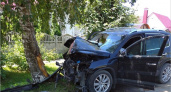 В Брянске внедорожник въехал в дерево, травмированы два человека