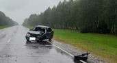Уснувший за рулём водитель спровоцировал аварию на местной брянской дороге