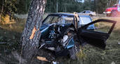 ДТП под Суражом: легковая машина врезалась в дерево