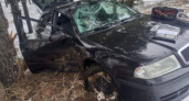 На местной дороге под Новозыбковом легковое авто улетело в дерево