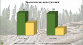 Больше половины брянских экопреступлений в 2024 году были связаны с незаконной рубкой леса - статистика