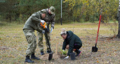 Брянские таможенники посадили кусты в Дятьково
