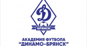 Брянское «Динамо» открыло свою футбольную академию