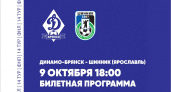 На матче «Динамо» и «Шинника» в Брянске разрешено заполнить стадион на четверть