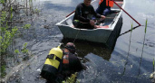 В озере в посёлке Старь утонул мужчина