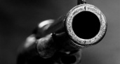 Брянский «самоделкин» случайно прострелил голову знакомому. И получил за это 3,3 года колонии-поселения