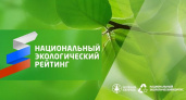 Брянская область со своими лесами остаётся в шестом десятке Национального экологического рейтинга