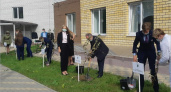 В Фокинском районе Брянска появился яблоневый «Сад памяти»
