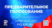 Алексеенко, Валуев, Агафонова, Щеглов, Никонов: в Брянске подвели итоги праймериз «Единой России»