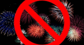 Новогодние фейерверки и салюты в Брянске запрещены второй год подряд