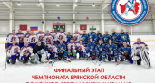 Чемпионом Брянской области по хоккею стал «Новый город»