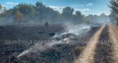 Ландшафтный пожар в Брянске: выгорело семь гектаров дач