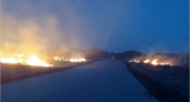 В Фокино ночью cгорело несколько гектаров сухой травы
