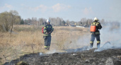 Пожароопасный сезон в лесах вводится на всей территории Брянской области с 11 апреля