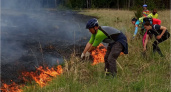 В брянском управлении лесами наградили туристов, спасших лес от пожара