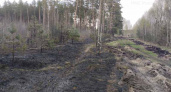 Под Брянском вовремя потушили лесной пожар