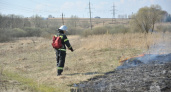 Травяные палы в Брянской области фиксируются с интенсивностью в среднем по 25-26 возгораний в сутки