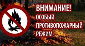 В брянских лесах из-за жары на две недели введен особый противопожарный режим