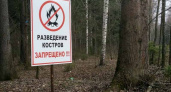 В брянских лесах начинается пожароопасный сезон: с 7 апреля — на юге и юго-западе, с 17 апреля — по всему региону