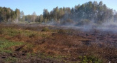 В Погарском районе горят торфяники