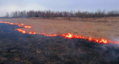 В Брянской области зафиксированы первые случаи поджога сухой травы