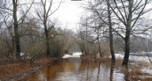 Морозы не остановили зимний паводок: Десна в Брянске поднялась уже больше, чем на три метра