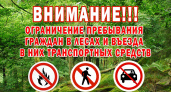 Ограничение на посещение лесов в Брянской области продлено до 1 мая