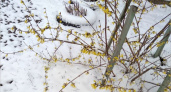 Последний день марта оказался самым снежным днём весны
