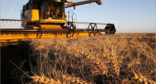 Брянская область запланировала собрать в этом году 2,3 млн. тонн зерновых