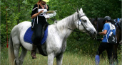 В Брянске впервые в истории пройдут соревнования по конному туризму