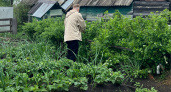 Аномальный мороз убьет всю рассаду: синоптики раскрыли, что произойдёт с погодой в России этой весной