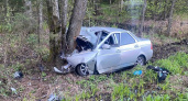 На объездной под Брянском легковушка врезалась в дерево, пассажир погиб, водитель в больнице