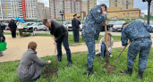 В центральном районе Брянска этой весной высадили более тысячи деревьев и кустарников