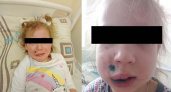 ЧП в брянском кафе: огромная кане-корсо напала на 4-летнюю девочку