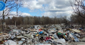 Брянский арбитраж разберется с «загрязнителями» земель и лесов в окрестностях гордеевской свалки