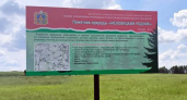 В брянских лесах устанавливают аншлаги местных памятников природы