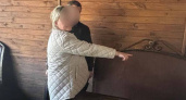 Брянская рецидивистка напала на знакомую, разбив о неё бутылку и изуродовав лицо