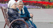 Доплаты к пенсии за сельских стаж получают 8,4 тысячи брянских пенсионеров