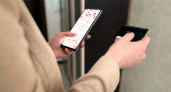 Мошенники за неделю «развели» брянских жителей на 7,4 миллиона рублей