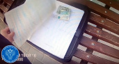 Брянский житель за тысячу рублей заработал себе «уголовку»