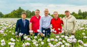В Брянской области на 40% увеличились посевы опийного мака